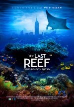 Последний риф