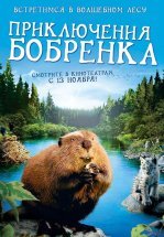 Приключения бобрёнка