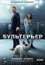 Бультерьер