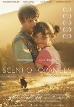 Узелки и апельсины