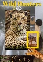 Дикие охотники. Кошки