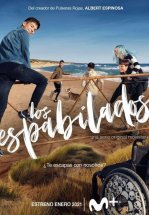 Шустрые ребята