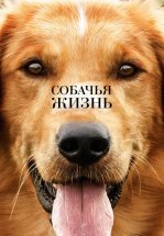 Собачья жизнь